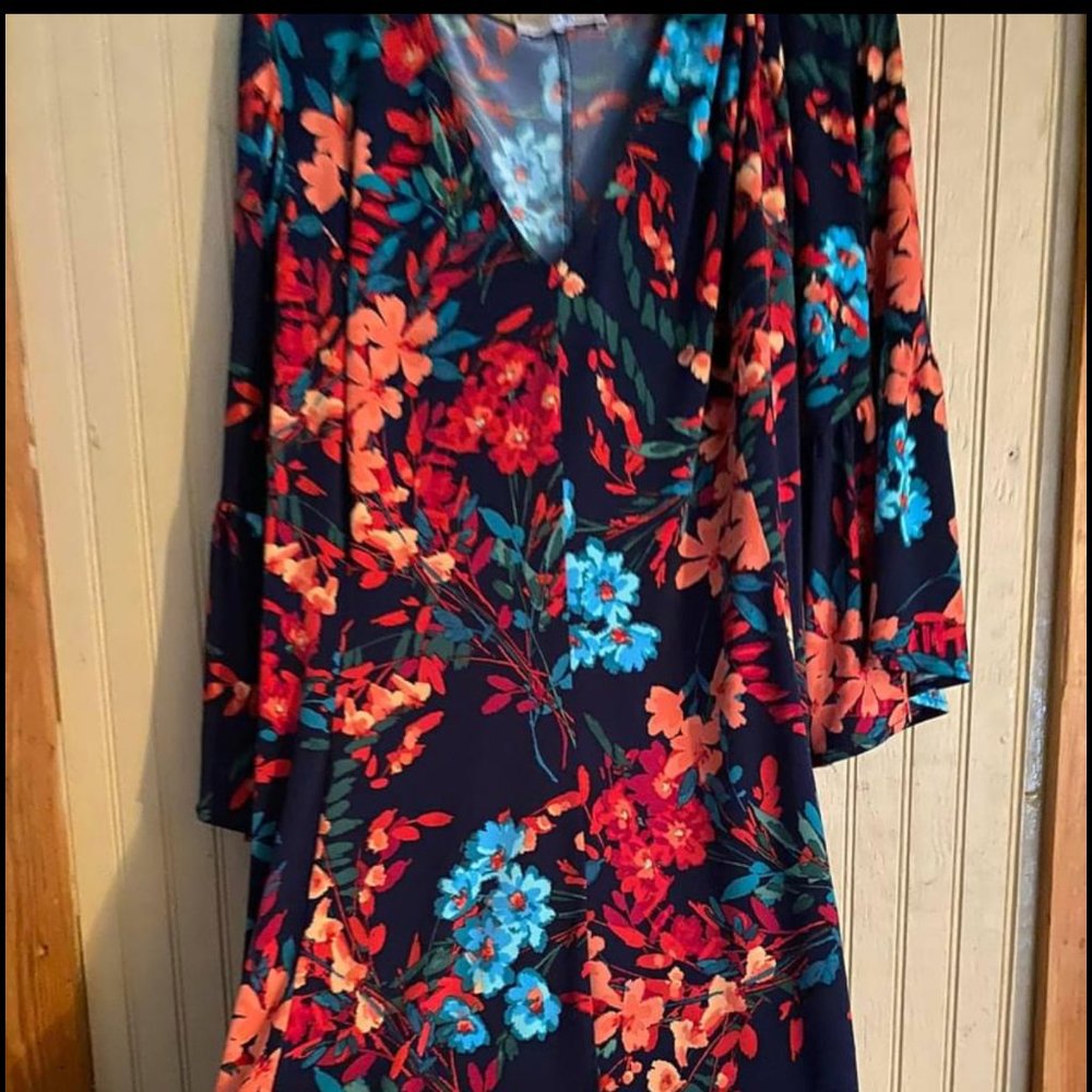 Dia & Co Dress